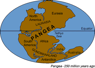Pangea Sticker - Pangea Stickers