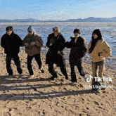 a group of people are standing on a sandy beach with a tik tok watermark
