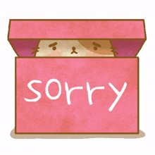 apologies sorry