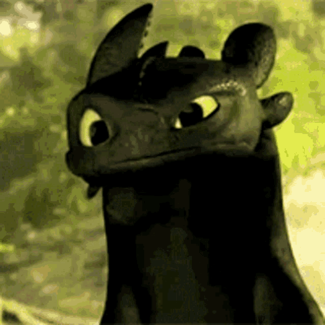 So, let's talk about something else... How-to-train-your-dragon-toothless