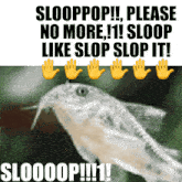 Slop Slop It GIF - Slop Slop It Fish GIFs