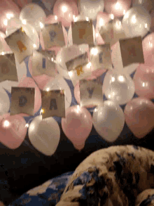 Happy Birthday Surprised GIF - Happy Birthday Surprised Balloons GIFs