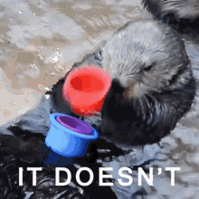 Otter It Doesnt Fucking Fit GIF - Otter It Doesnt Fucking Fit GIFs
