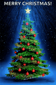 christmas tree sparkle star