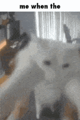 Silly Cat Cat Meme GIF - Silly Cat Cat Meme Me When The GIFs