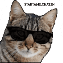 a cat wearing sunglasses with the website starttamilchat.in written below it