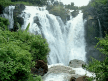 Waterfalls Nature GIF - Waterfalls Nature GIFs