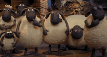 Shaun The Sheep GIF - Shaun The Sheep Stop Motion Wallace And Gromit GIFs
