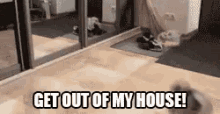 Get Out Of My House! GIF - Dog Mirror Reflection GIFs