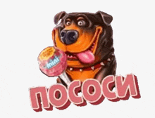 a cartoon dog is holding a lollipop in its mouth and the word pomosi is above it .