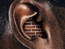 a man 's ear with a brick wall behind it