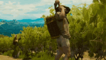 Harvesting The Witcher GIF - Harvesting The Witcher The Witcher3wild Hunt Blood And Wine GIFs