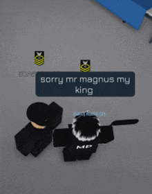 a screenshot of a video game that says sorry mr magnus my king on it