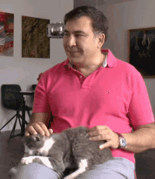 Saakashvili Cat GIF