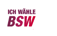 a logo for ich wähle bswx with a red cross