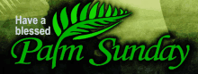 sunday palm