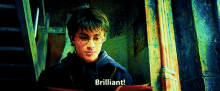 Harry Potter GIF - Harry Potter Brilliant GIFs
