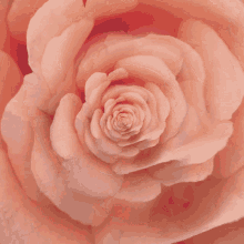 Energy Rose GIF