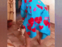 Cat Dance GIF - Cat Dance Wiggle GIFs
