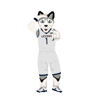 a husky mascot for the uconn basketball team points at the camera