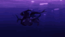 a woman is swimming in the ocean with a shark behind her
