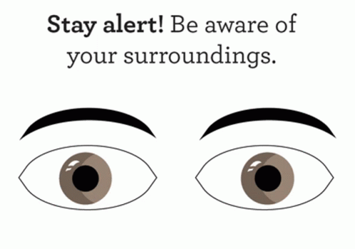 Stay Alert Looking Around GIF - Stay Alert Looking Around Looking GIFs