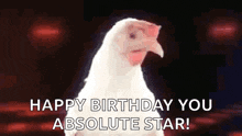 Birthday Chicken GIF - Birthday Chicken GIFs