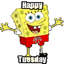happy tuesday tuesday morning tuesday meme tuesday tuesday blessings