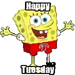 Happy Tuesday Tuesday Morning Sticker - Happy Tuesday Tuesday Morning Tuesday Meme Stickers