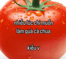 a tomato with water drops on it and the word kieu v on the bottom