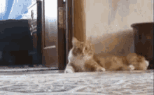 Walking Cat GIF - Walking Cat Scared Cat GIFs