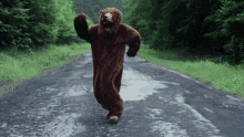 Dancing Bear GIF - Dancing Bear GIFs