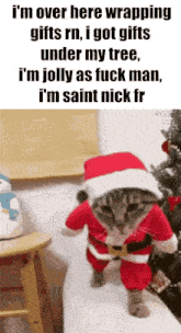 Christmas Cat GIF - Christmas Cat Jolly GIFs
