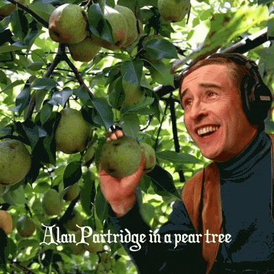 partridge family in a pear tree