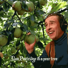 Partridge In A Pear Tree Alan Partridge GIF - Partridge In A Pear Tree Alan Partridge Xmas Jokes GIFs