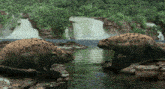 a couple of dinosaurs standing on a rock in front of a waterfall