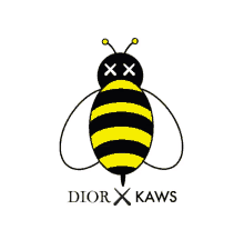 dior taiga bee insect yellow and black