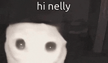 a white cat with black eyes and the words `` hi nelly '' written on it 's face .