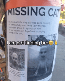 a missing cat sign with a picture of a baby