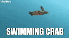 Crab Swimming GIF - Crab Swimming GIFs