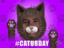 happy caturday