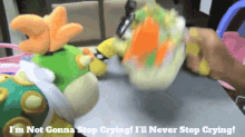 Sml Bowser GIF - Sml Bowser Im Not Gonna Stop Crying GIFs