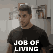 Job Of Living Rudy Ayoub GIF - Job Of Living Rudy Ayoub Just The Way It Is GIFs