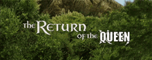 Lord Of The Rings Return Of The King GIF