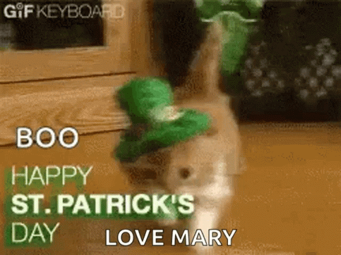 pattys day gif