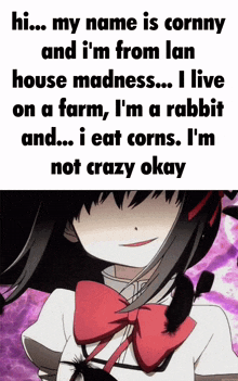 Lan House Madness Cornny GIF - Lan House Madness Cornny Bunny Girl GIFs