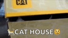 Car Box GIF - Car Box Cat House GIFs