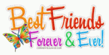 best friends forever and ever friendship butterfly colorful