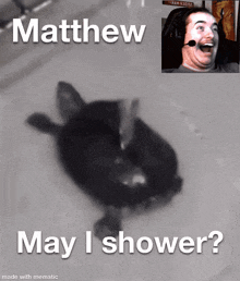 Matthew May I Shower Turtle GIF - Matthew May I Shower Turtle Disastrous Llamas GIFs