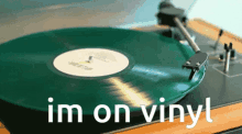 Alliumghosts Vinyl GIF - Alliumghosts Vinyl Im On Vinyl GIFs
